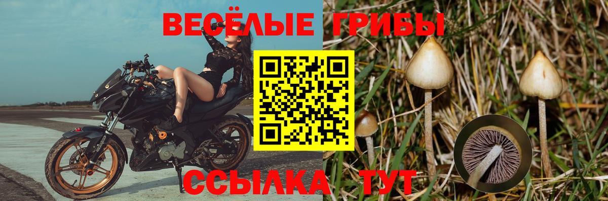 закладка  Галлюциногенные грибы прущие грибы  Вход с VPN  Туймазы 